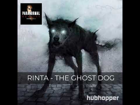 Rinta: The Ghost Dog